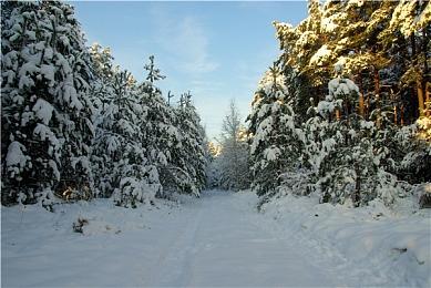 《时空奥德赛》6月PC版内测 虚幻5韩国制MMORPG